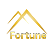 http://myfortunegroup.com/wp-content/uploads/2021/02/footerlogo.png